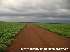 Fazenda porto alegre do norte / mt 37000 hectares